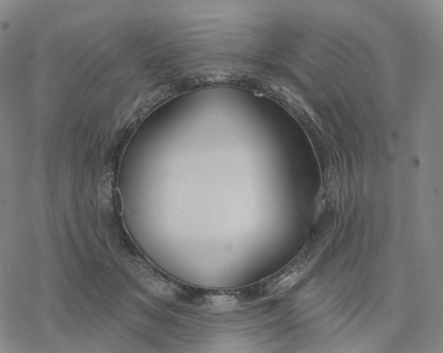 X0000076420509200610271711