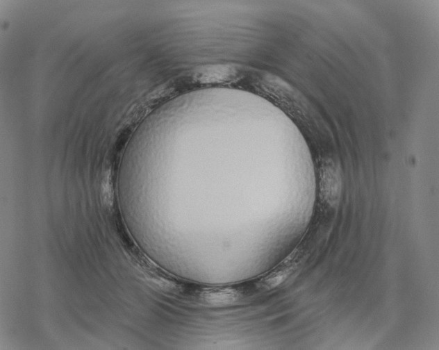 X0000076420510200610271711