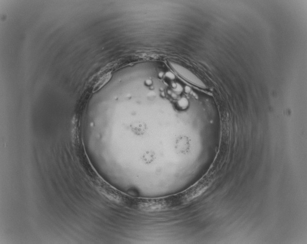 X0000076420511200610271711