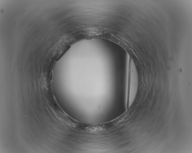 X0000076420512200610271711