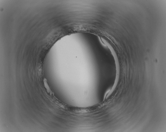 X0000076420513200610271711