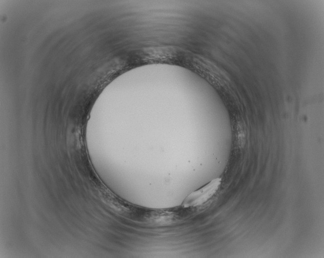 X0000076420514200610271711