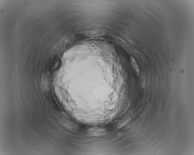 X0000076420515200610271711