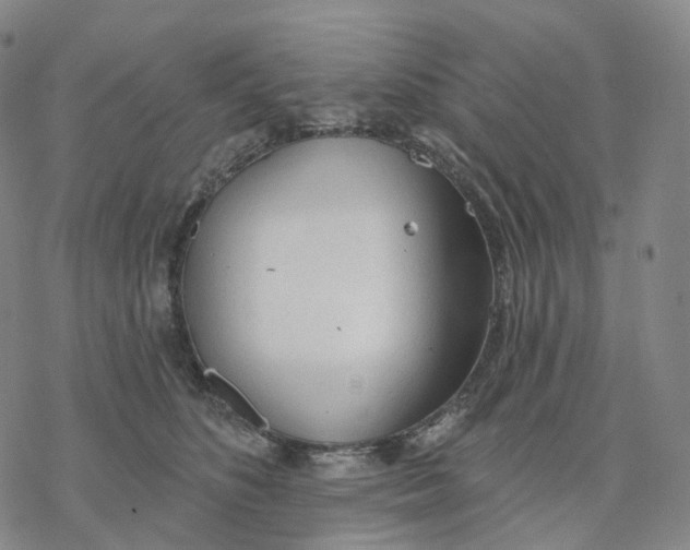 X0000076420516200610271711