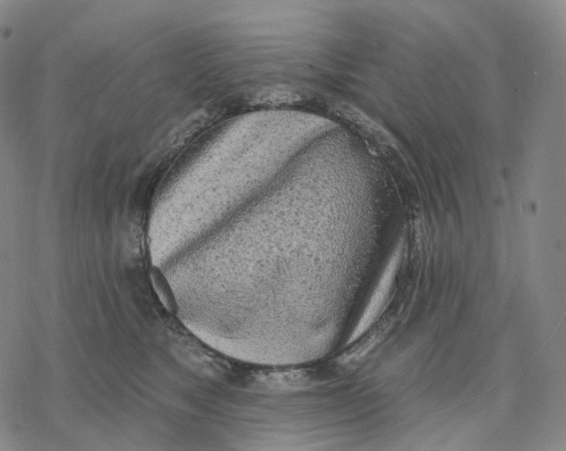 X0000076420517200610271711