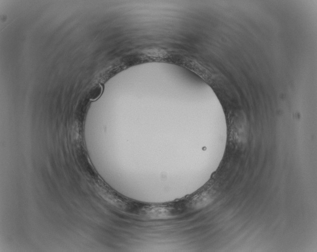 X0000076420518200610271711