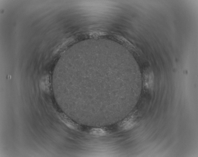 X0000076420519200610271711