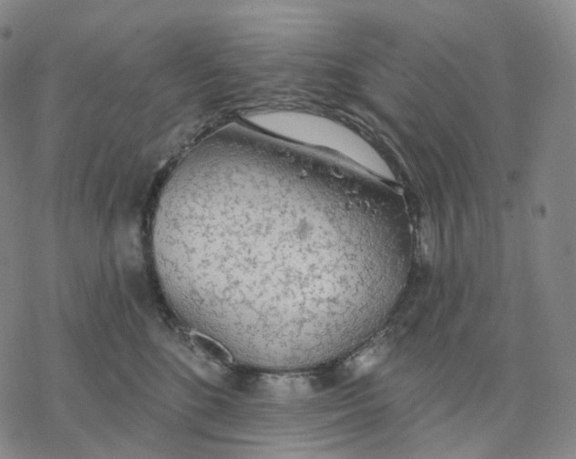 X0000076420520200610271711