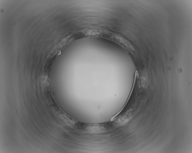 X0000076420521200610271711