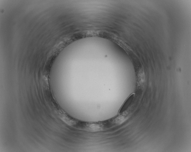 X0000076420522200610271711