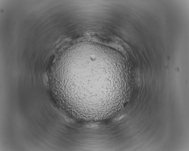 X0000076420523200610271711