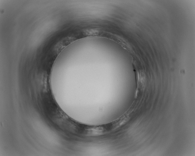 X0000076420525200610271711