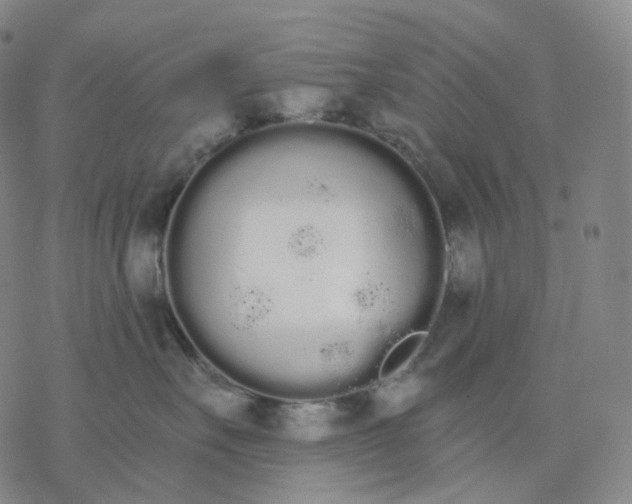 X0000076420527200610271711