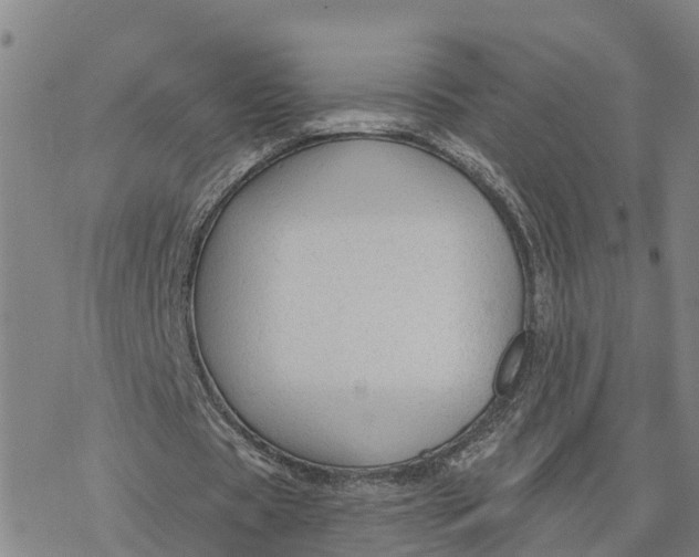 X0000076420529200610271710