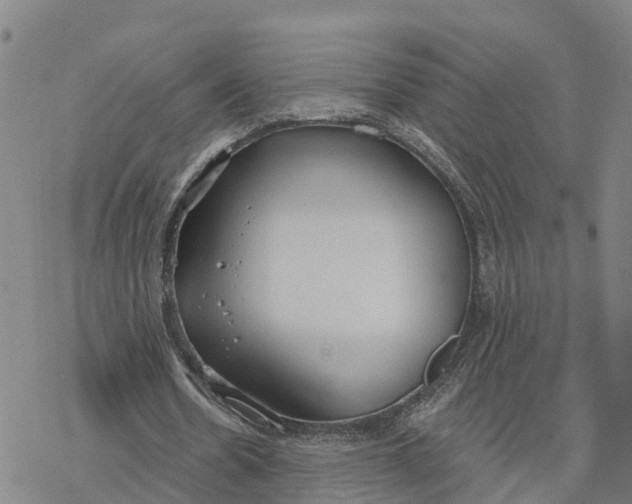 X0000076420530200610271710