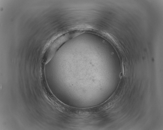 X0000076420531200610271710