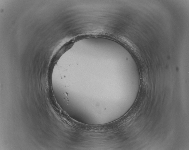 X0000076420532200610271710