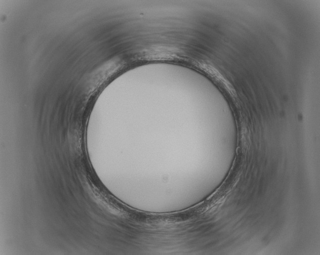 X0000076420533200610271710