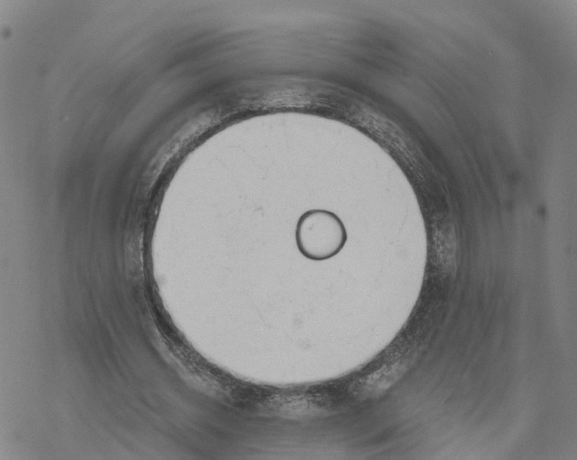 X0000076420534200610271710