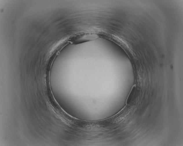 X0000076420535200610271710