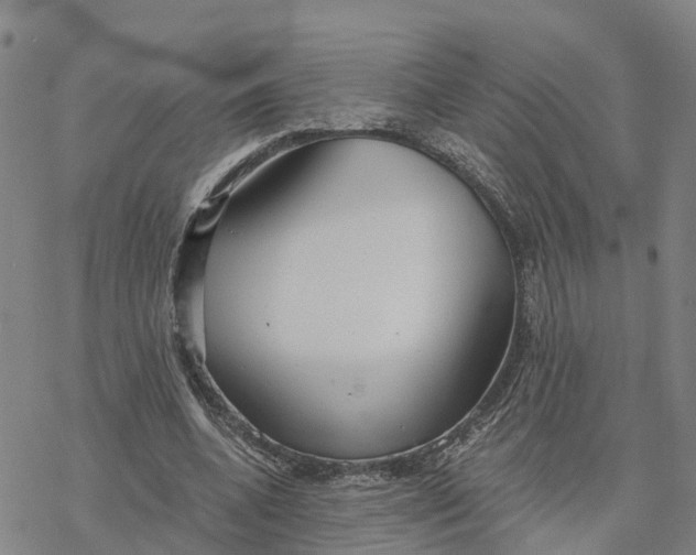 X0000076420536200610271710