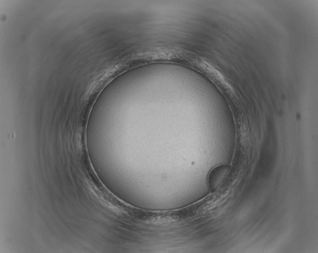 X0000076420537200610271710