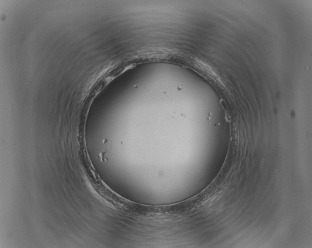 X0000076420538200610271710