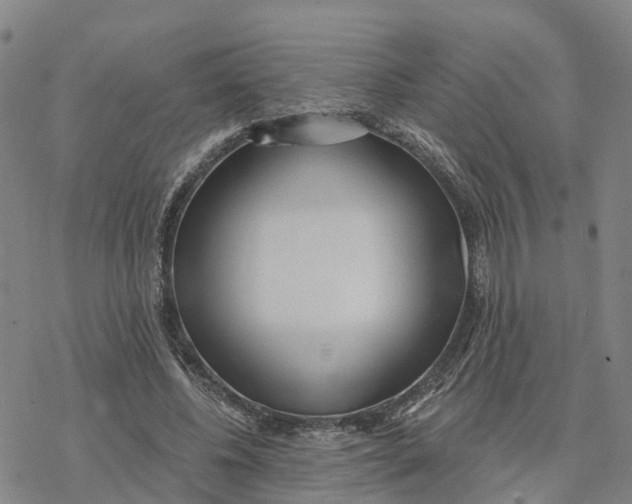 X0000076420540200610271710