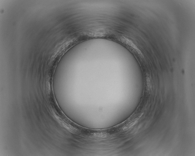 X0000076420541200610271710