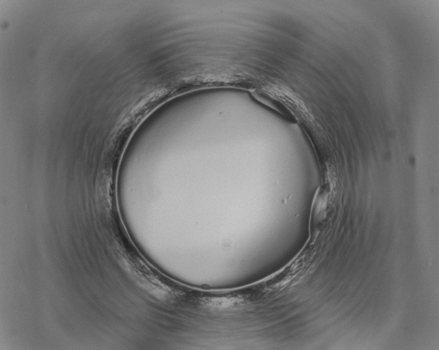 X0000076420542200610271710