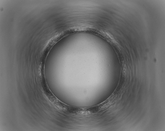 X0000076420543200610271710