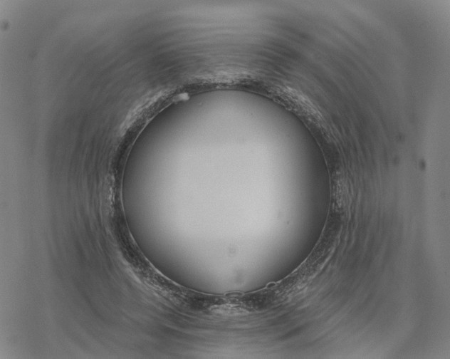 X0000076420544200610271710