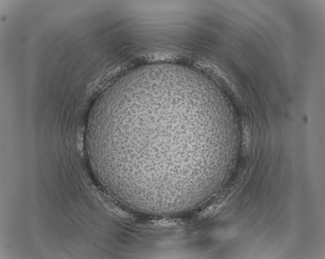 X0000076420545200610271711