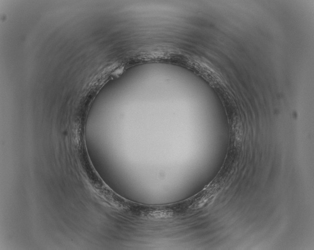 X0000076420546200610271711