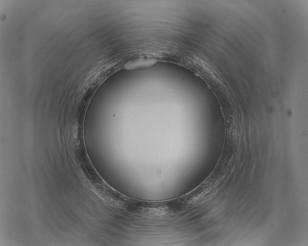 X0000076420548200610271711