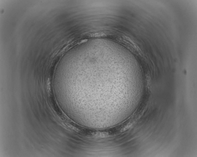 X0000076420549200610271711