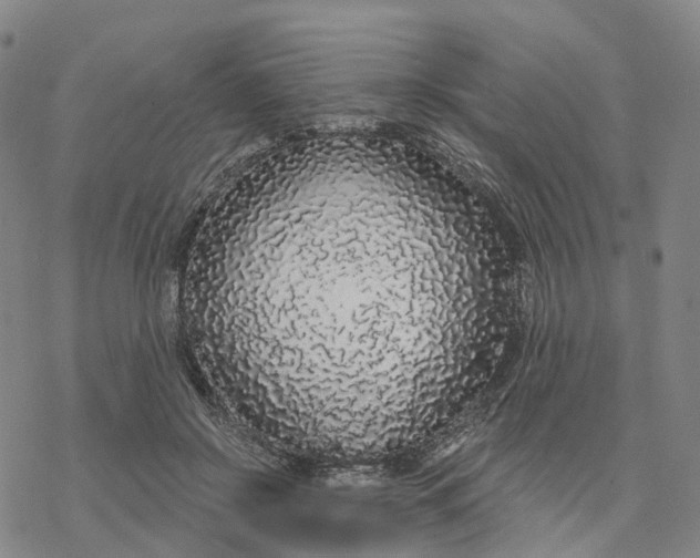 X0000076420550200610271711