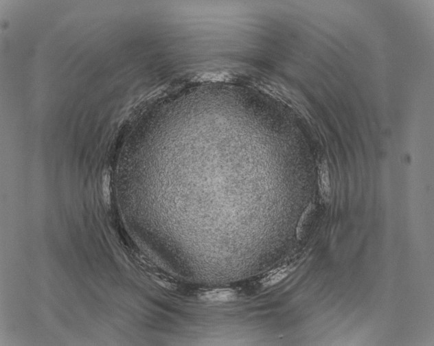 X0000076420551200610271711