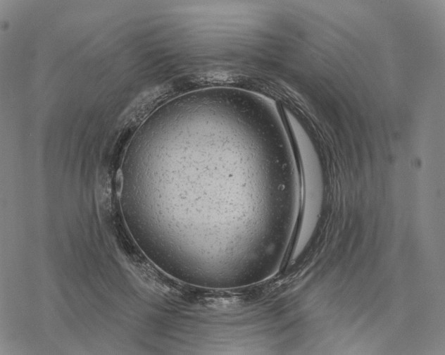 X0000076420552200610271711