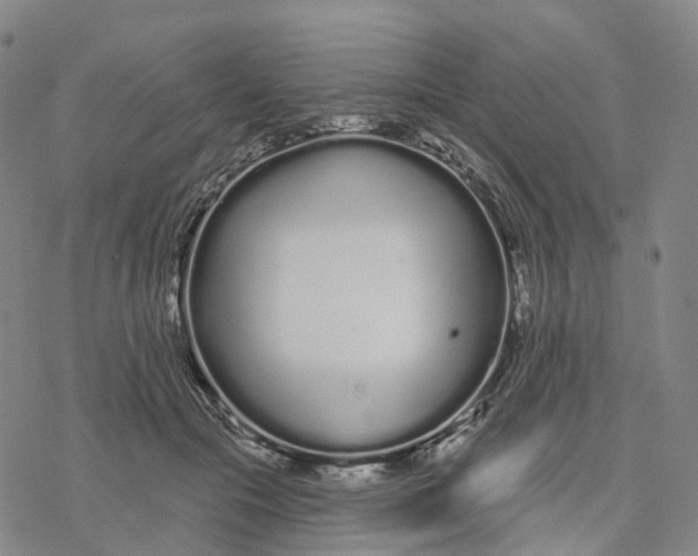 X0000076420553200610271711