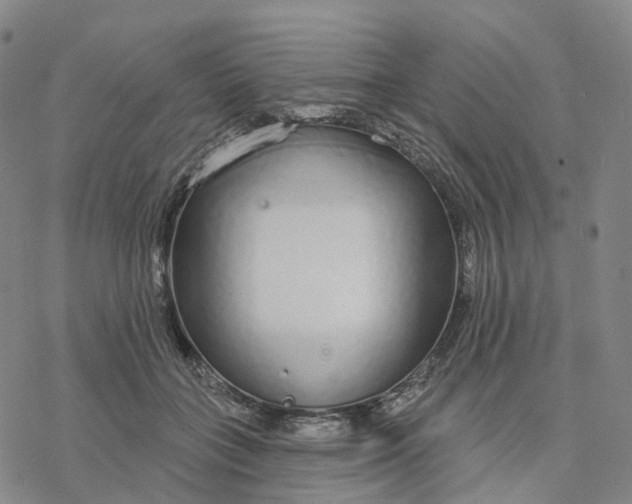 X0000076420555200610271711