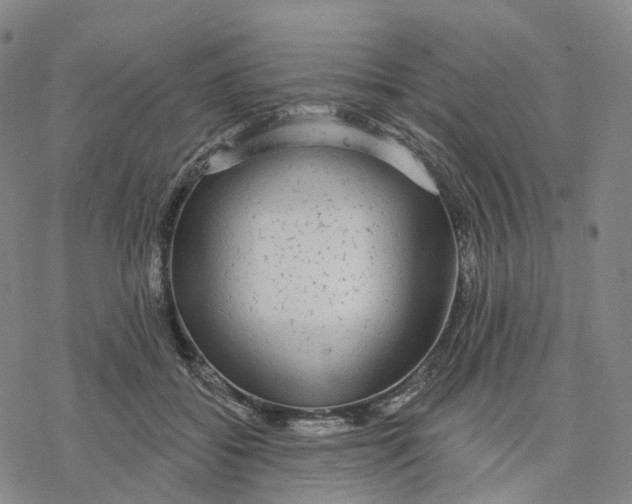 X0000076420556200610271711