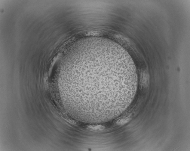 X0000076420557200610271711