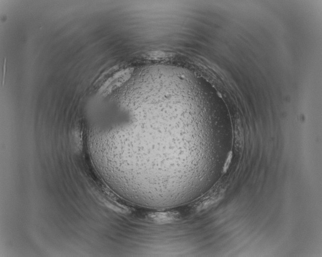 X0000076420558200610271711