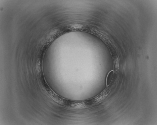 X0000076420559200610271711