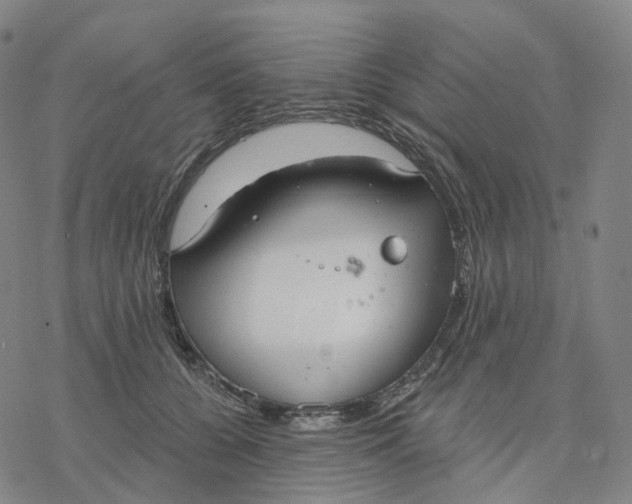 X0000076420560200610271711