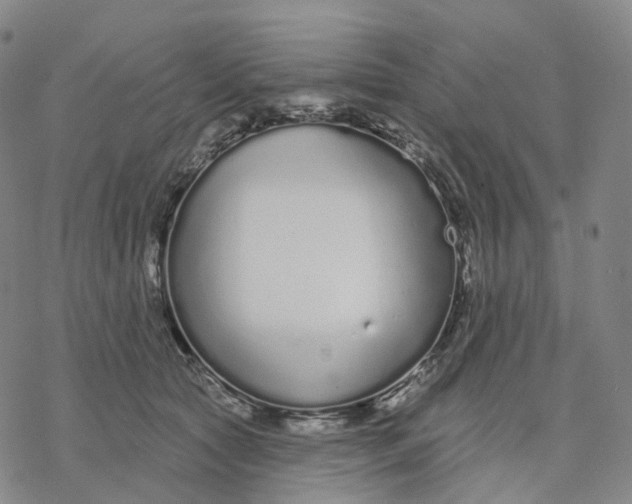 X0000076420561200610271711