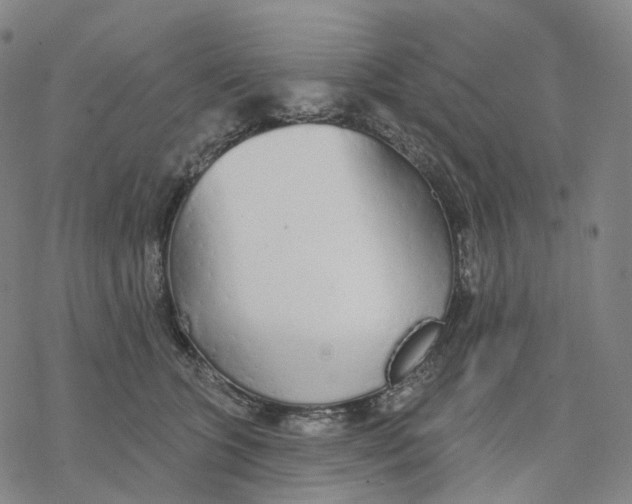 X0000076420563200610271711