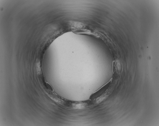 X0000076420564200610271711