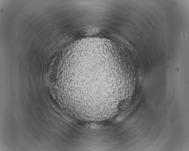 X0000076420565200610271711